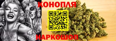 индика Нягань