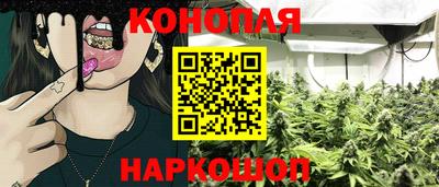 индика Нягань
